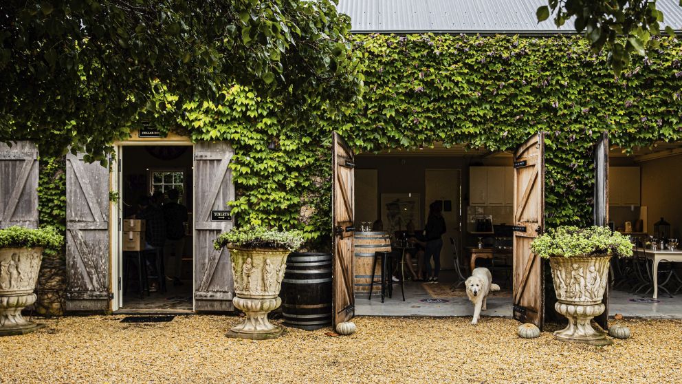 The Hunter Valley s top wineries cellar doors Visit NSW